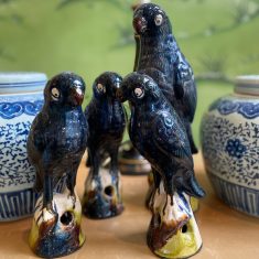Dark Blue Parrots